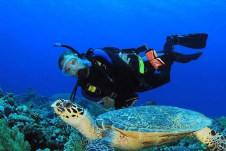 The top 10 tours to do in Belize!