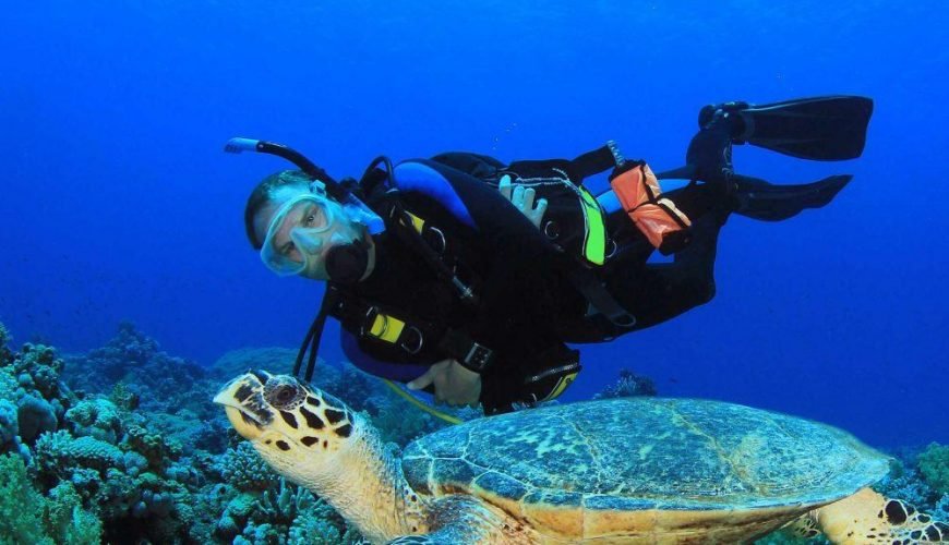 The top 10 tours to do in Belize!