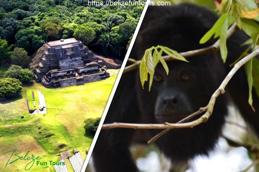 Community Baboon Sanctuary and Altun Ha