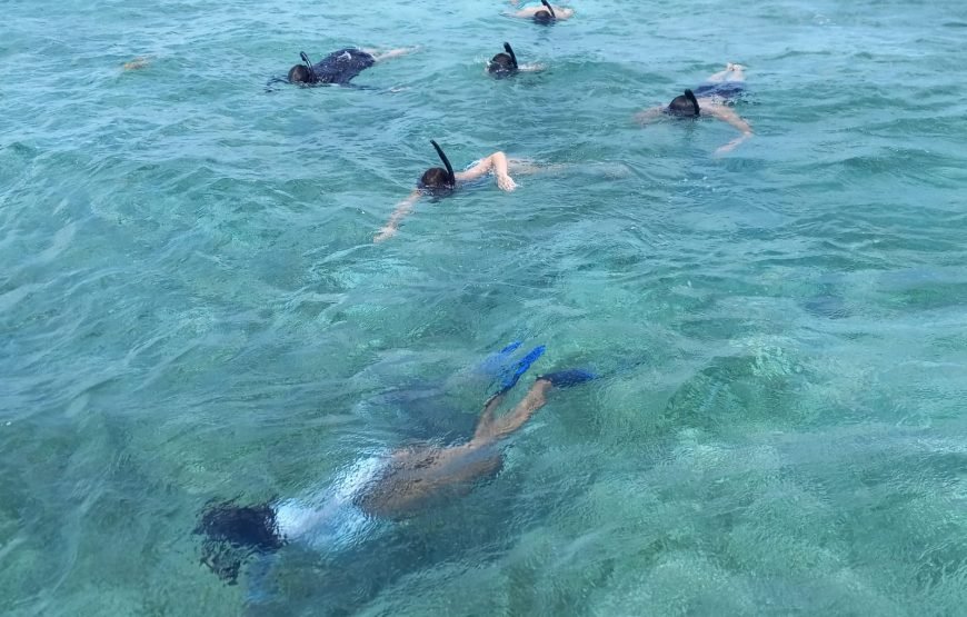 Hol Chan Marine Reserve and Shark Ray Alley from San Pedro Ambergris Caye