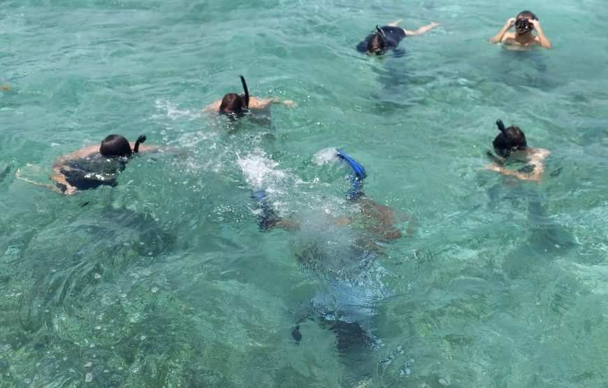 Hol Chan Marine Reserve and Shark Ray Alley from San Pedro Ambergris Caye
