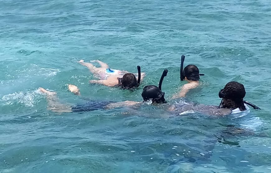 Hol Chan Marine Reserve and Shark Ray Alley from San Pedro Ambergris Caye