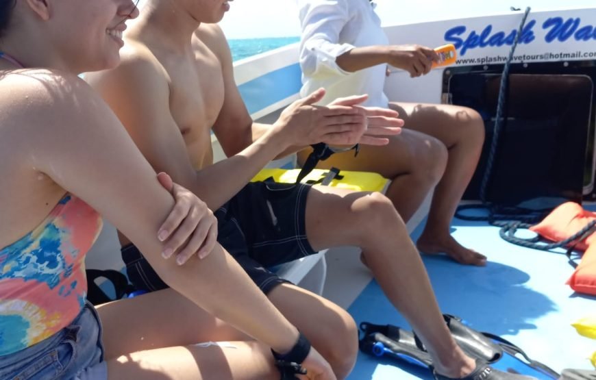 Hol Chan Marine Reserve and Shark Ray Alley from San Pedro Ambergris Caye