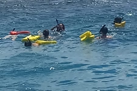 Hol Chan Marine Reserve and Shark Ray Alley Snorkeling